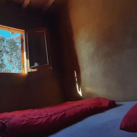 Tunis Camp Al Fayyūm Exteriör bild
