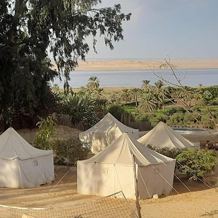 Tunis Camp Al Fayyūm Exteriör bild