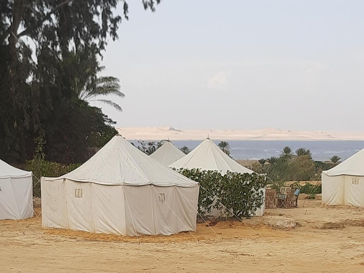 Tunis Camp Al Fayyūm Rum bild