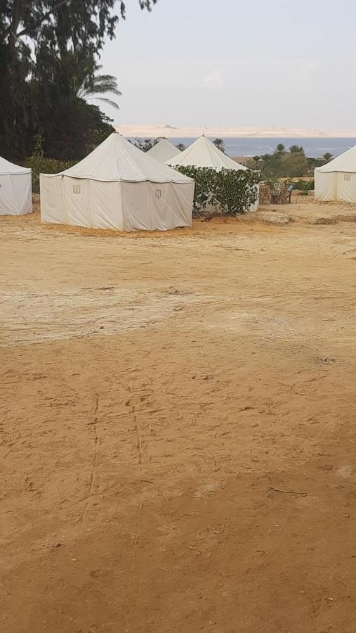 Tunis Camp Al Fayyūm Exteriör bild