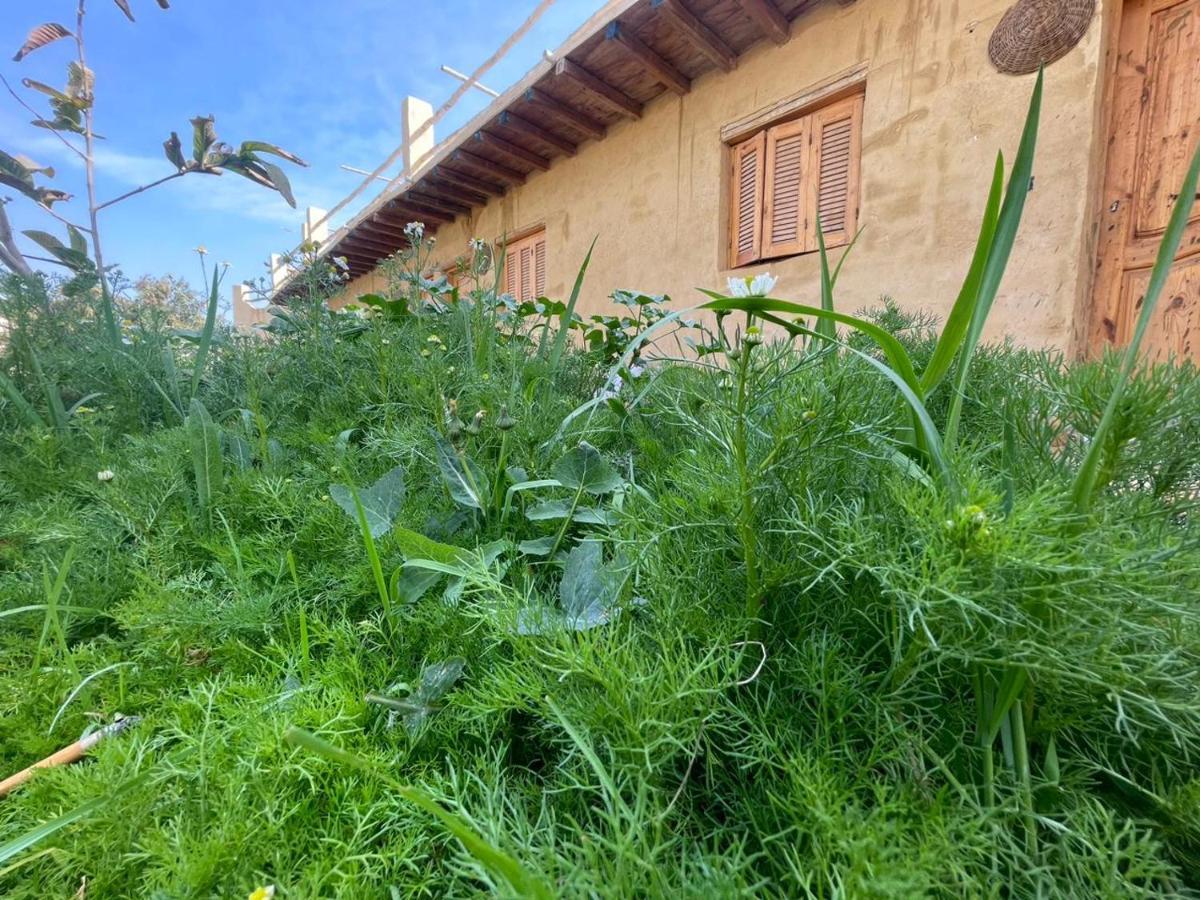 Tunis Camp Al Fayyūm Exteriör bild