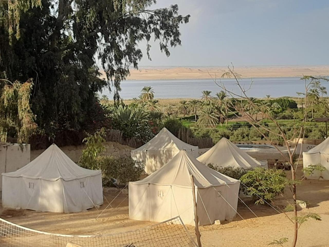 Tunis Camp Al Fayyūm Exteriör bild